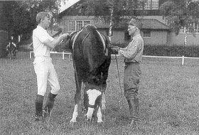 Intl. competition EMPFA Berne 1971: Christian Stampehl GER & Henry Chammartin, olympic champion dressage
